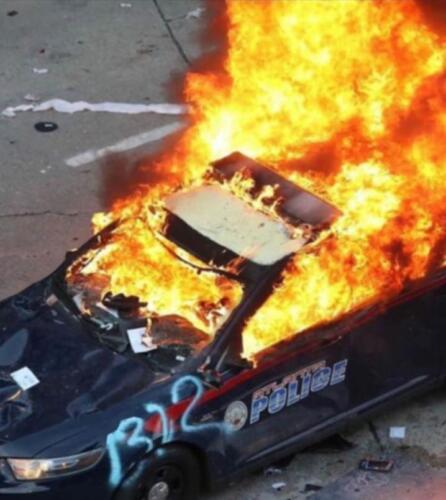 101650353 784572192075222 7911907148865470464 n