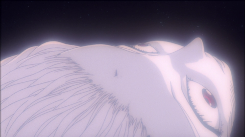 243904546 404447431234353 598997086380033267 n