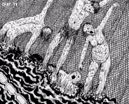 32817-1f80a46c139a4da35201f0c9f959538c-ohaytv