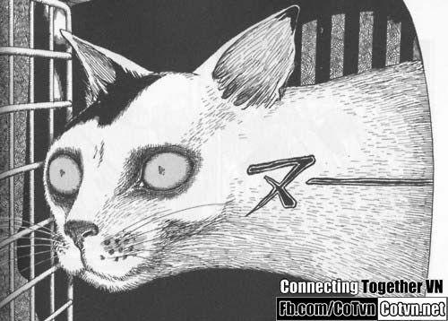 5594dc16c79b0b31a5cddfe5ea088469