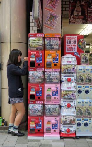 8693dec4254193b376293df4dd2be8b5