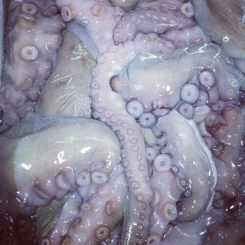 cc45e4d80922ed192181c4ab0a934cd8