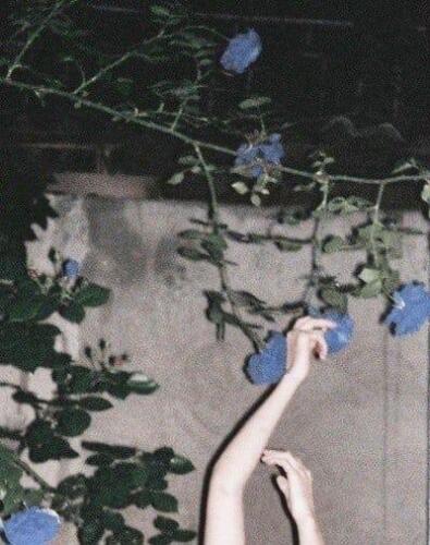 cfacda36c94a9cc87c3fab5f2c46b182