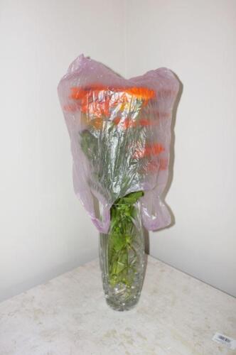 e766d7685bd9e383a6aa797b11120168