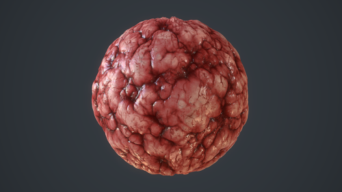 image processing20190919-4-1mdqy7k